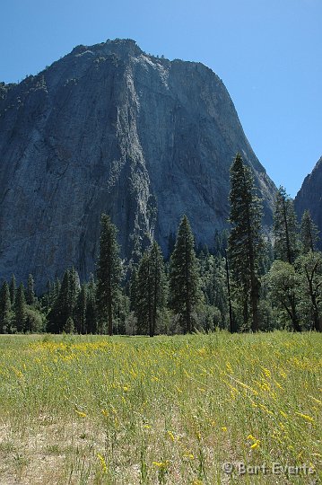 DSC_1487a.jpg - Yosemite Valley